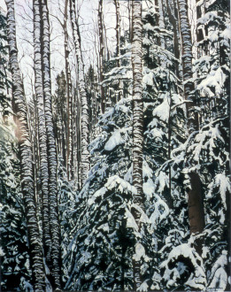 Among the Aspens    sold